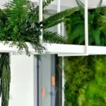 How to build a moss wall