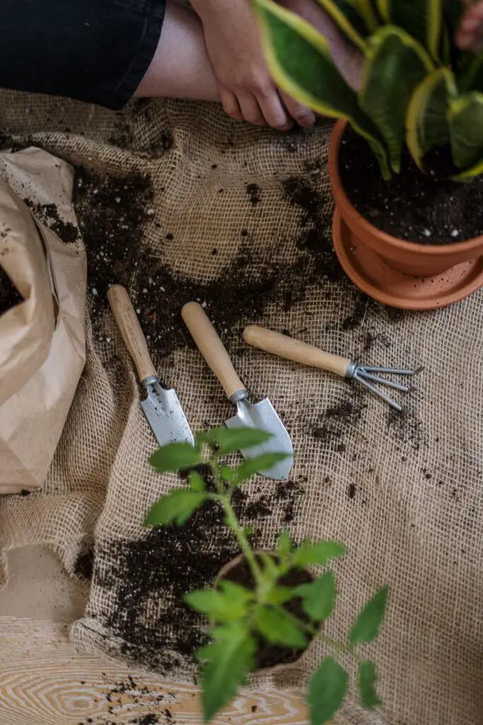 How to Use Burlap in Gardening