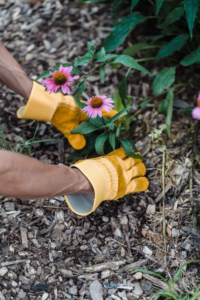 how to clean leather gardening gloves