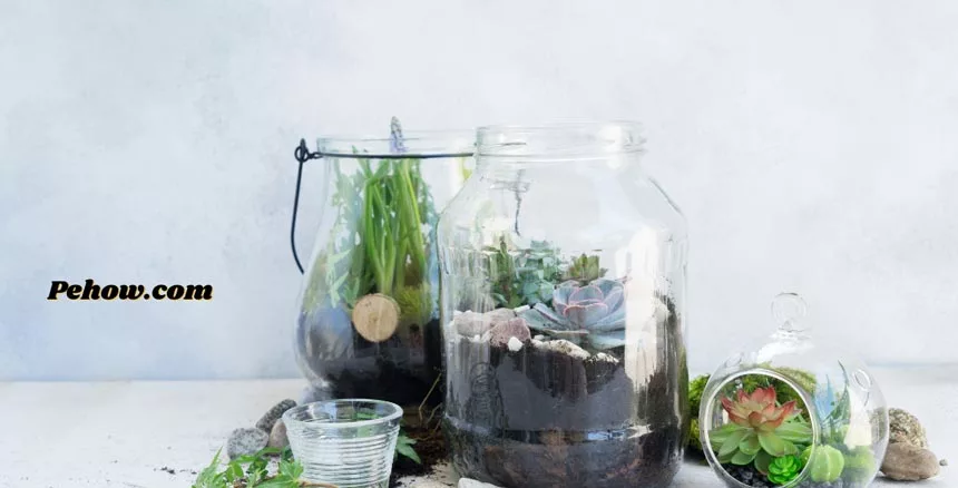 Can you use glass jars as plant pots