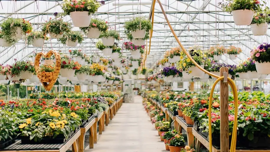 The Haven of Hope Greenhouse