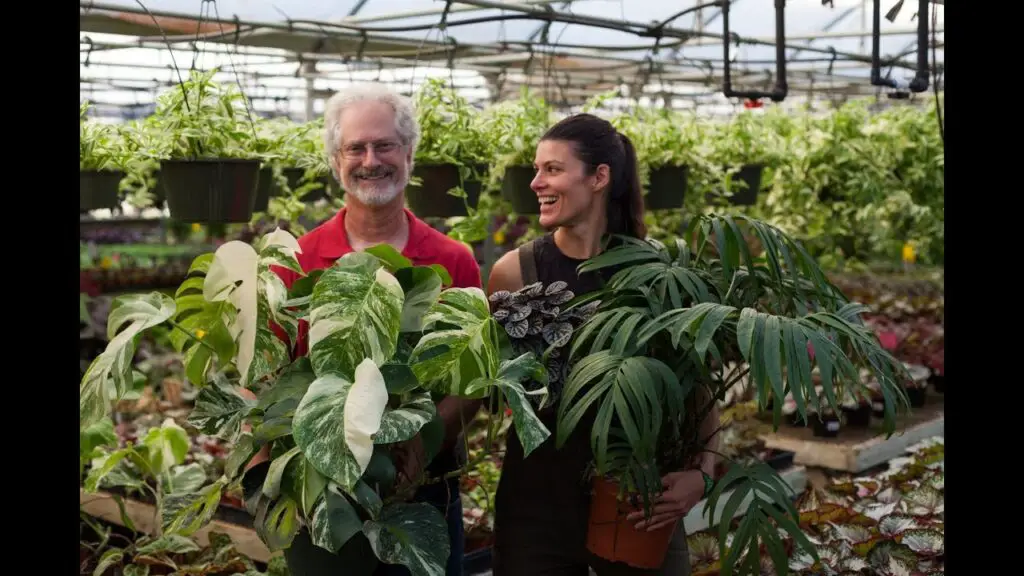 How to induce variegation in plants All you Need to Know