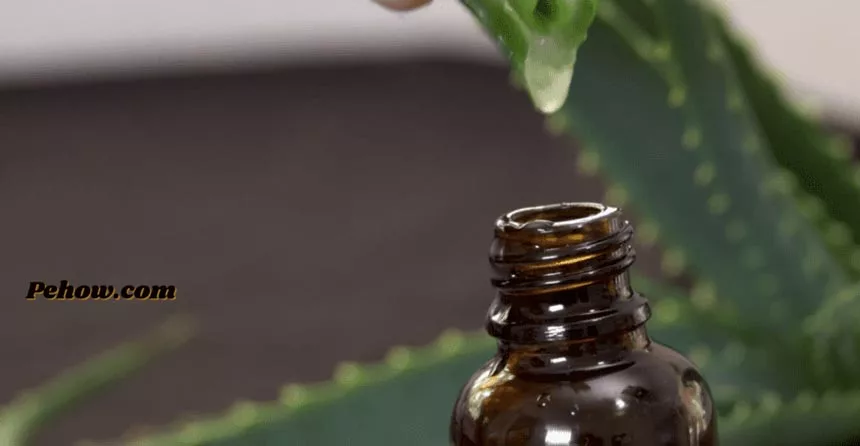 How to make a glycerin and aloe vera gel mixture