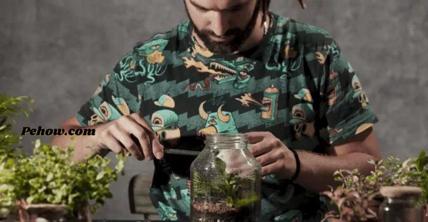 How to transplant plants into a glass jar