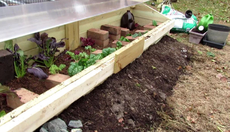 How to use cold frame greenhouse