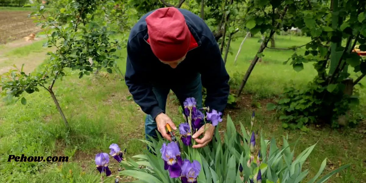 Do men like flowers What kind of flowers do men like? PE How