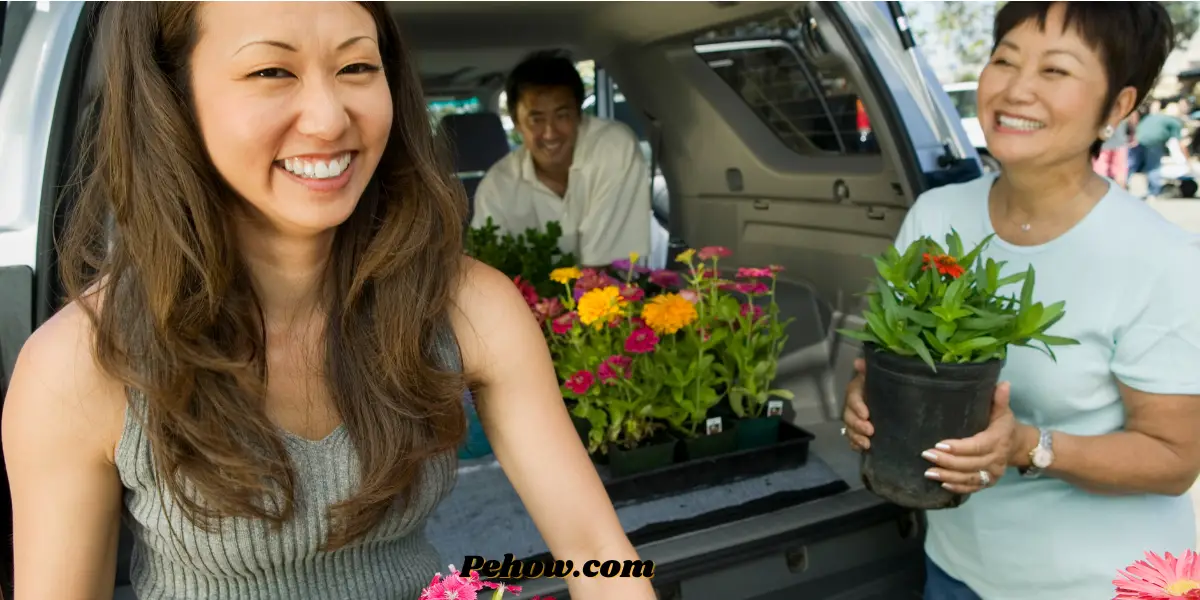 How long can flowers last in a car way to keep longer PE How
