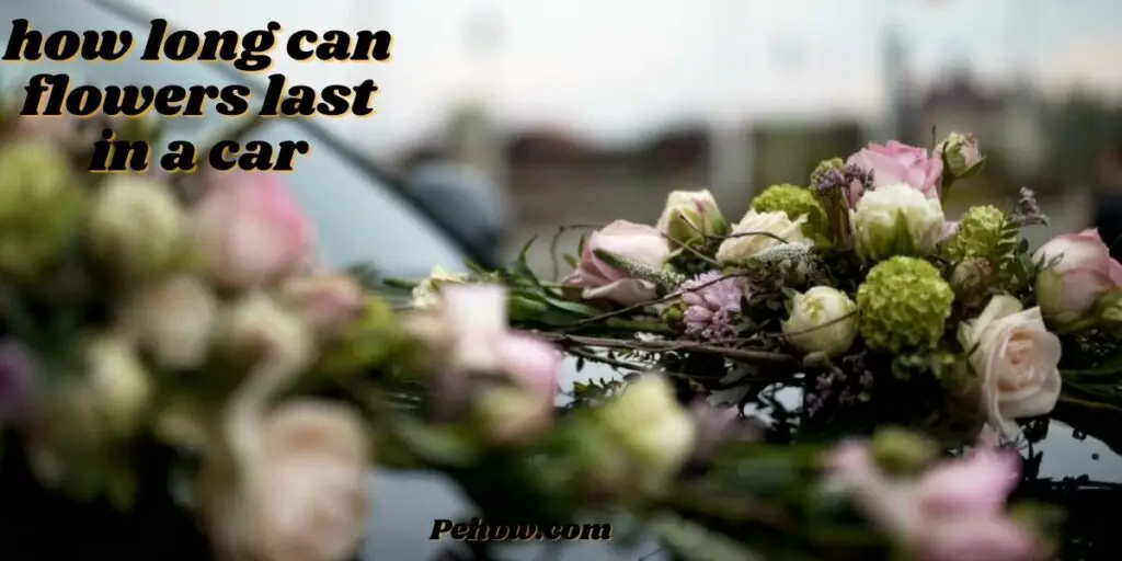 how long can flowers last in a car