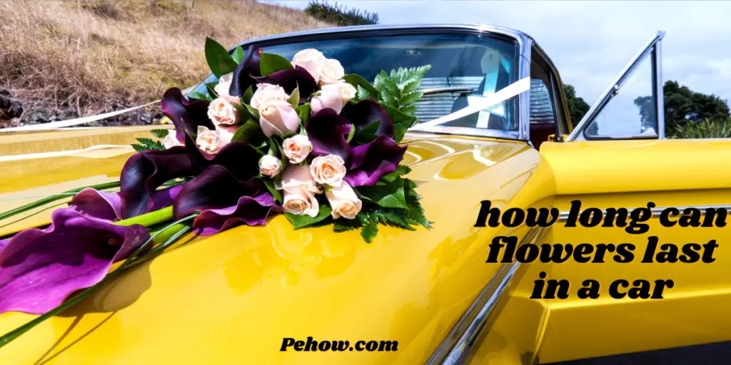 how long can flowers last in a car
