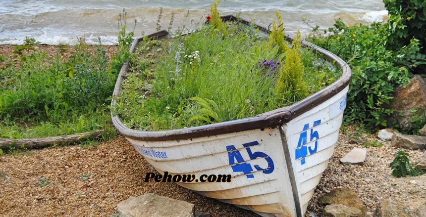 Can you grow plants on a boat