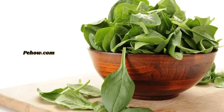 Harvest your spinach plants regularly