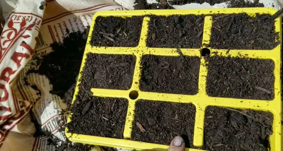 How to Make a Clear Plastic Tote Greenhouse