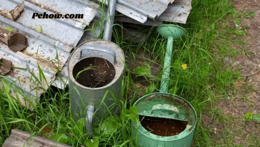 Use a rusted watering can