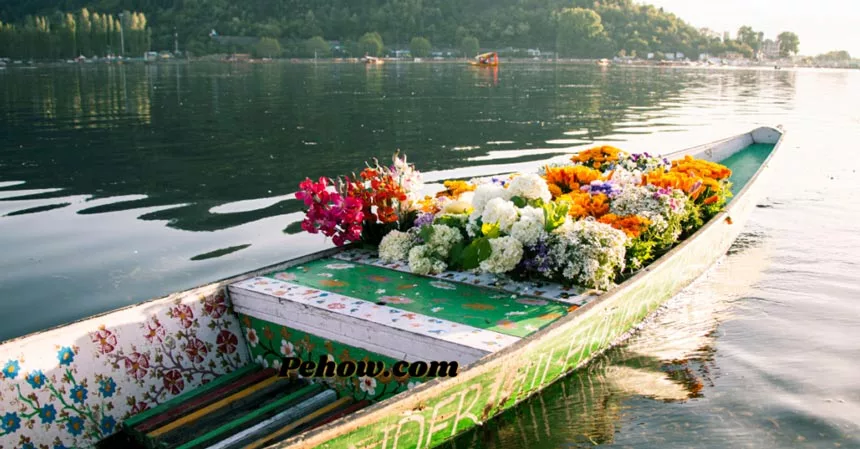 What type of light is best for growing plants on a boat