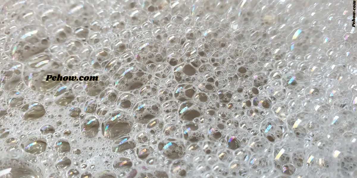 Can soapy water kill plants (Yes & How Does Soapy Water Affect Plants