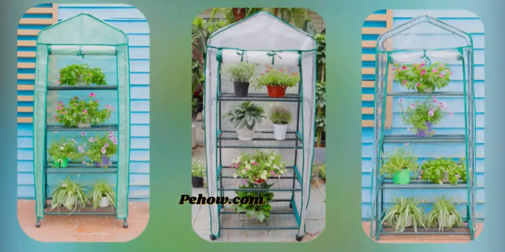 how to use a 4 tier mini greenhouse