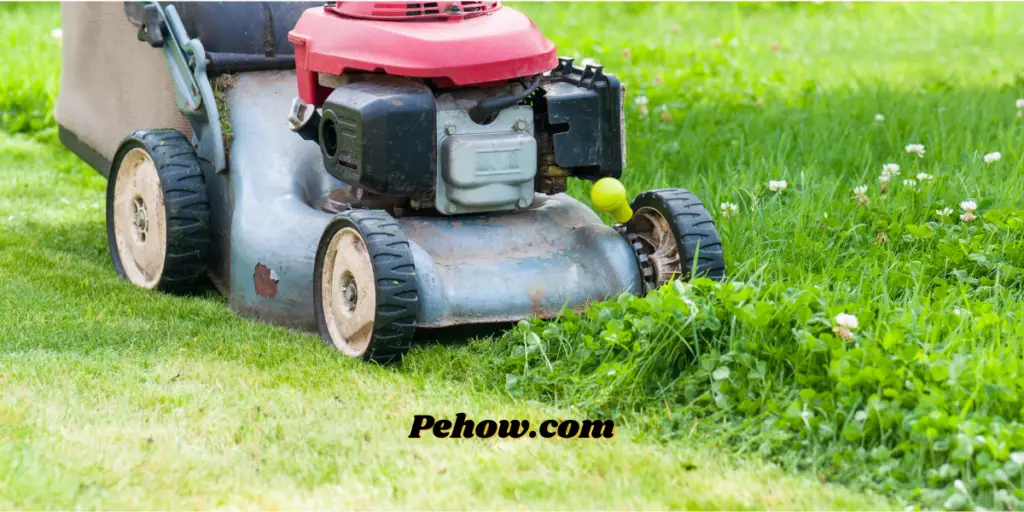 can you mow your lawn on memorial day