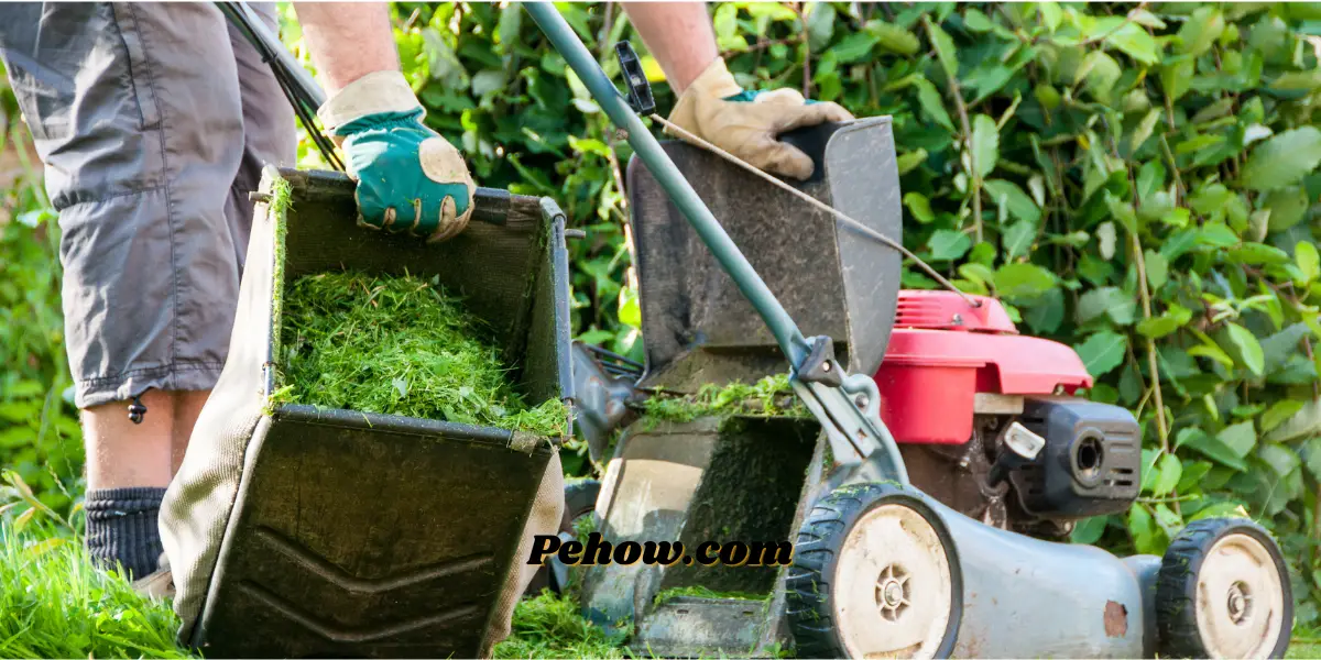 can you mow your lawn on memorial day