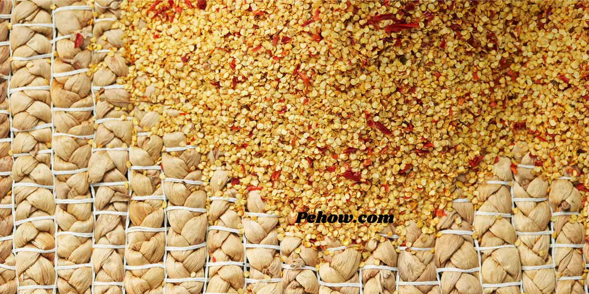 Can you plant dehydrated pepper seeds (Yes & How to Plant) PE How