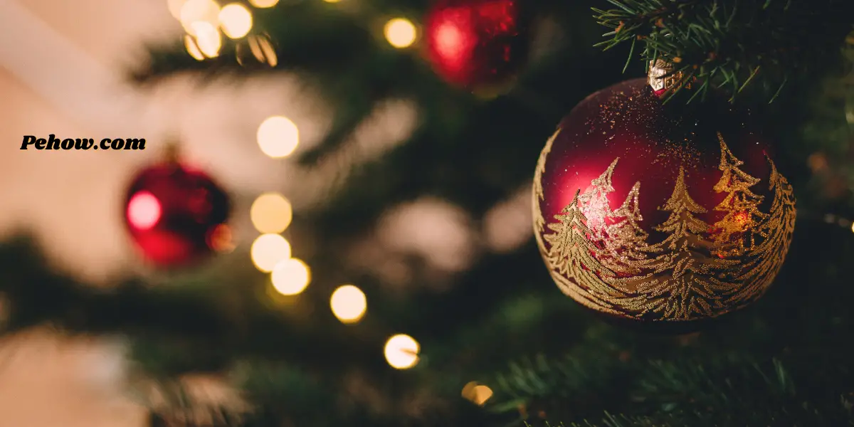 Can you replant a cut Christmas tree (No, replacing a cut Christmas