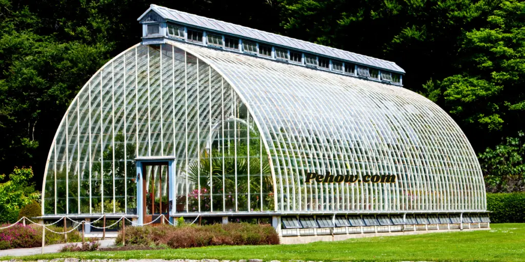 painting greenhouse