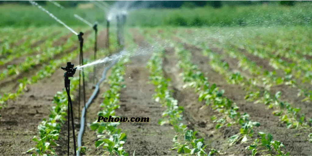 how is over irrigation damaging to soil