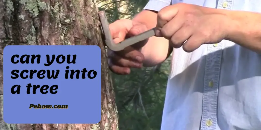 Can you screw into a tree? No, it stops the plant from growing PE How