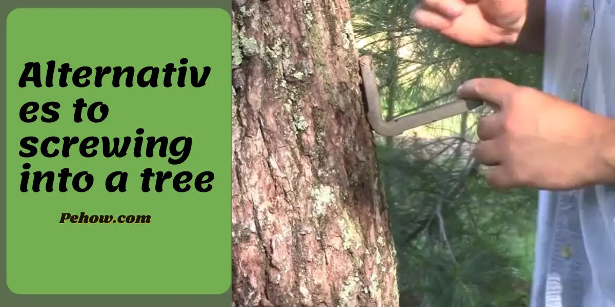 Can you screw into a tree? No, it stops the plant from growing PE How