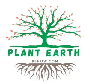 Pehow Logo